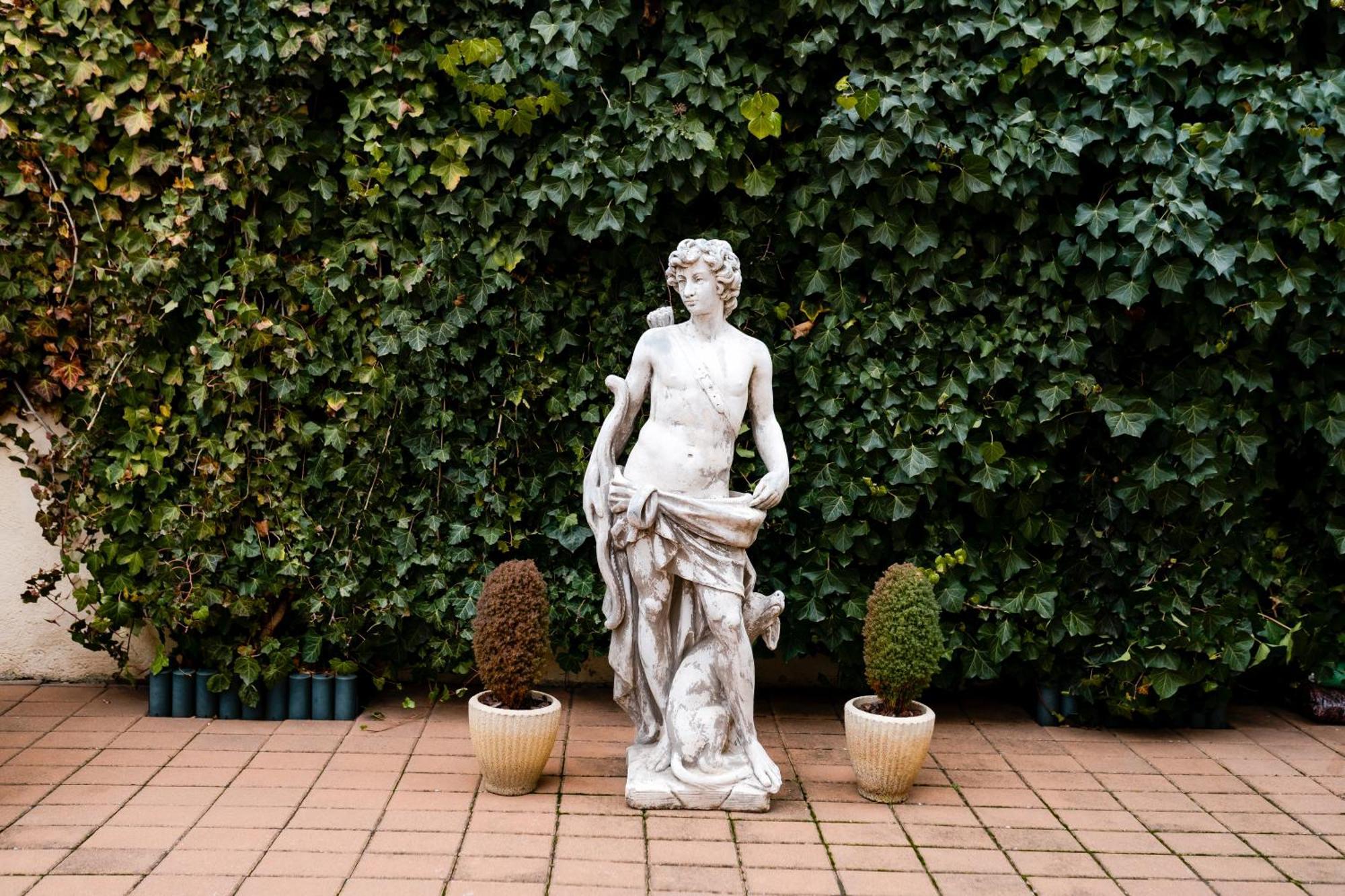 Rosen Villa シビウ エクステリア 写真